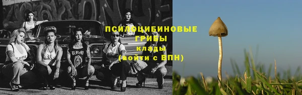 прущие грибы Армянск