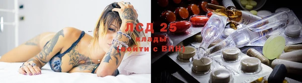прущие грибы Армянск