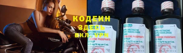 стафф Надым