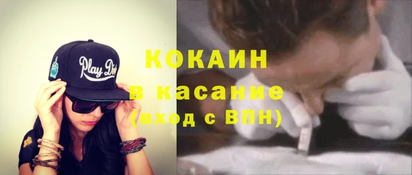 прущие грибы Арсеньев