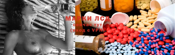 прущие грибы Арсеньев