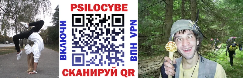 mega онион  наркошоп  Славгород  Псилоцибиновые грибы Cubensis 